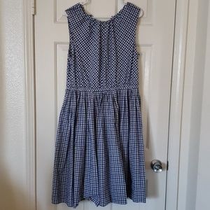Merona Blue Gingham Dress